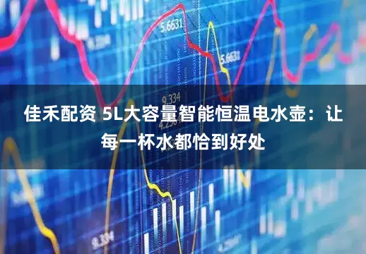 佳禾配资 5L大容量智能恒温电水壶：让每一杯水都恰到好处